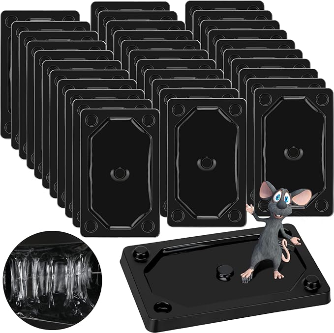 Qualirey 32 Pieces Mouse and Insect Glue Traps Baited Sticky Plastic Boards for House Rodents Heavier Adhesive Traps with Nontoxic Glue for Insects, Ready to Use, Pet Children Safe