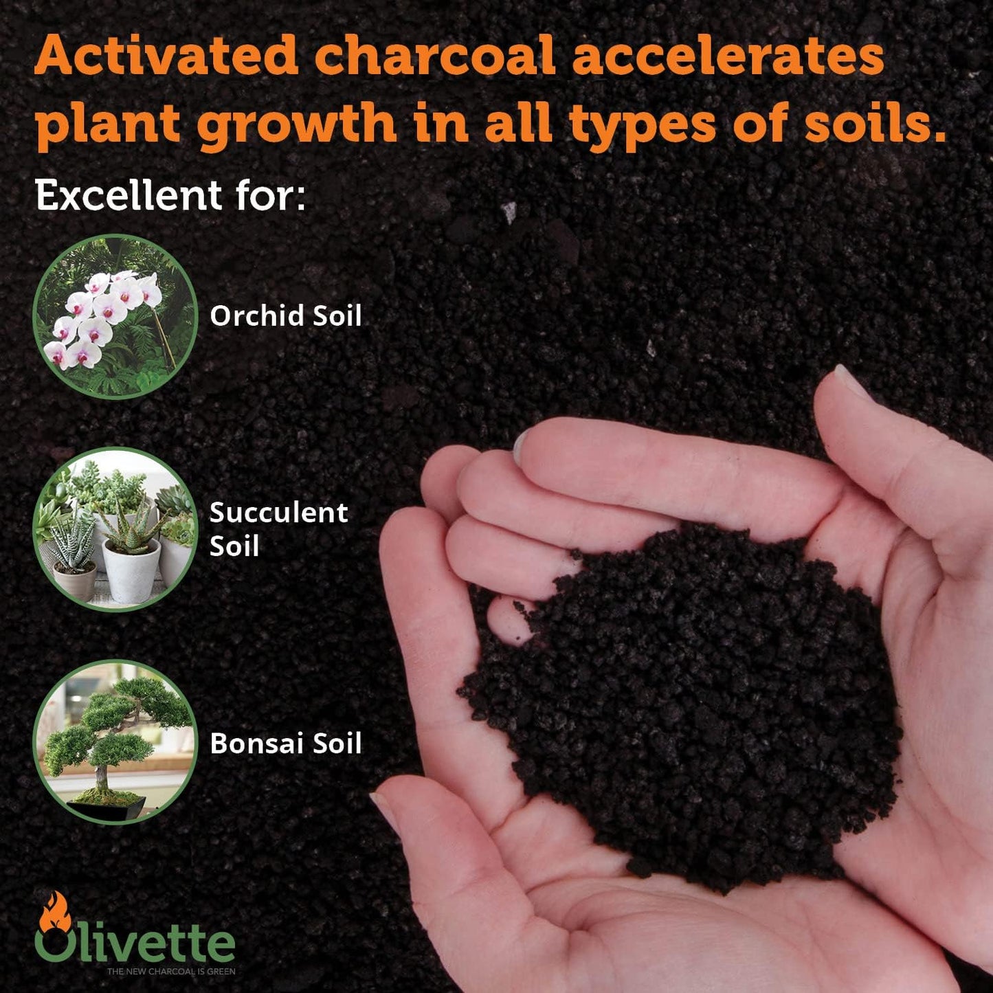 Olivette Horticultural Biochar Activated Charcoal for Plants, USDA Organic Moisture Control for Terrarium Trees & Potted Plants, Eco-Conscious, 1 Bag
