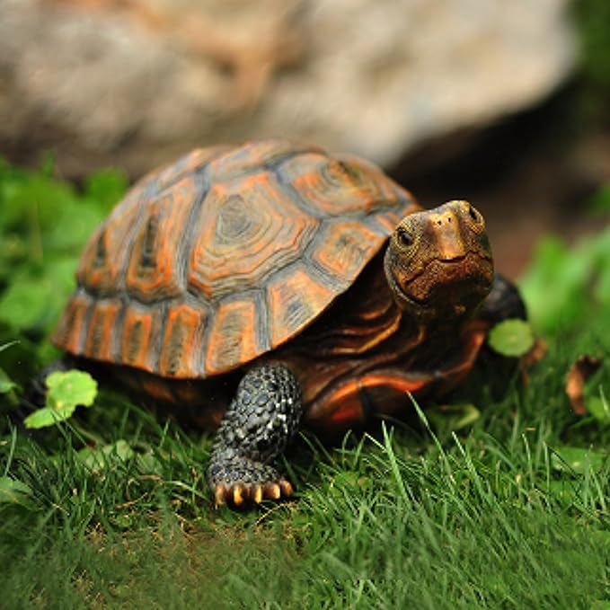 AETVRNI Turtle Figurine Garden Statue Resin Animal Sculpture Realistic Turtle of Polyresin Garden Patio Lawn Yard Outdoor Decorative,L