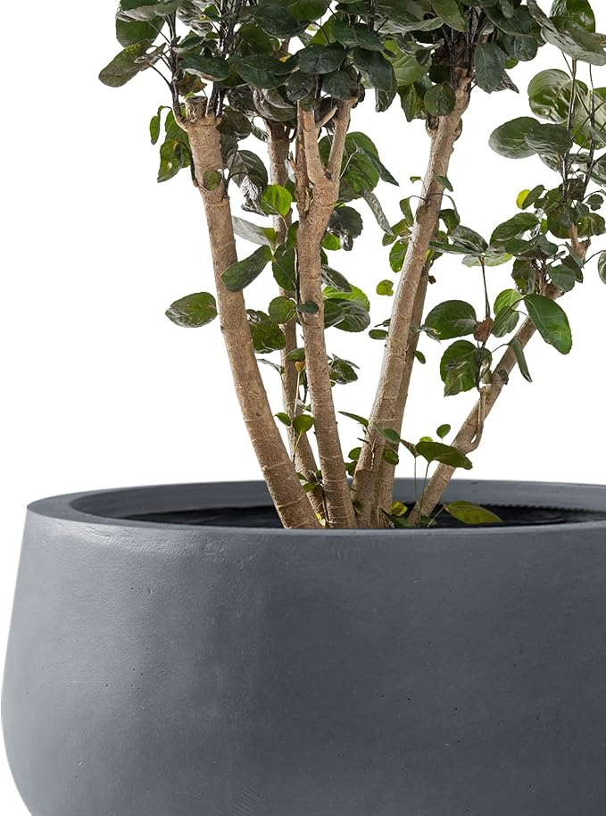 Kante 11.8" Dia Round Concrete Planter, Cement Plant Pots with Drainage Hole and Rubber Plug for Outdoor Indoor Garden Home, Modern Curvaceous Design, Dark Gray
