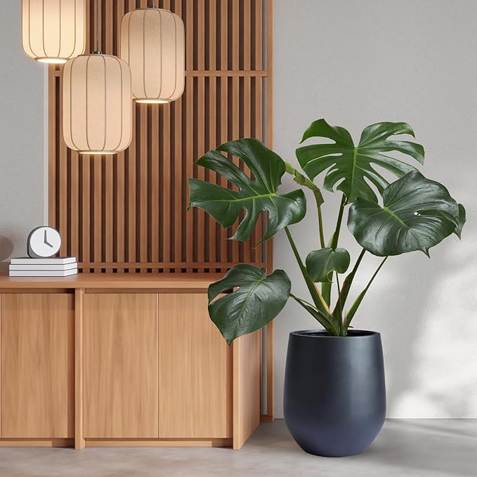 21" H x 19" D Corso Fiberstone Round Planter with Drainage Hole, Smooth Finishes, Weather Resistant for Indoor and Outdoor Use, Included 2 Extra Coco Mats (Black, 15" Pot Opening)