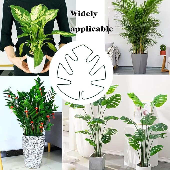 Spiritlele 5 Pcs Green Plant Stem Support Holder Set Monstera Plant Support Clamp Growth Accessories for Indoor Plants Big