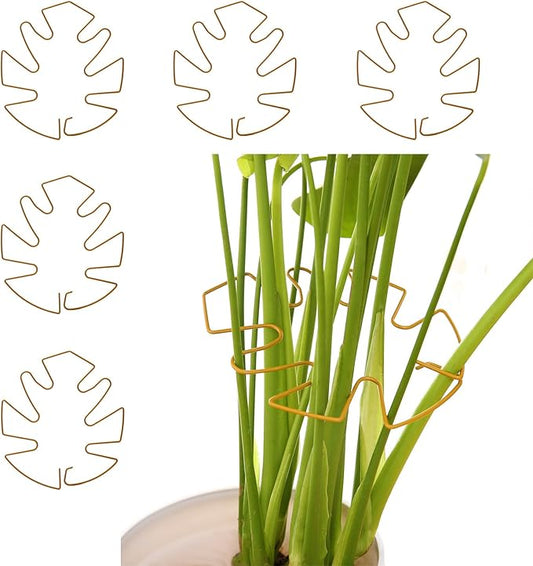 Spiritlele 5 Pcs Gold Plant Stem Support Holder Set Monstera Plant Support Clamp Growth Accessories for Indoor Plants Big