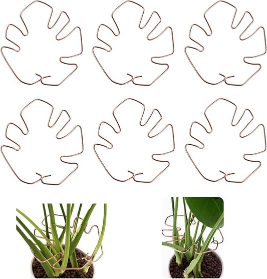 6PCS Monstera Plant Stem Support, Monstera Stabilizer Grapple Holder Unique Design for Turtle Shell Bamboo Clamp Set, Ideal Plant Support Stakes for Thriving Growth Indoor Climbing Plant (Copper)