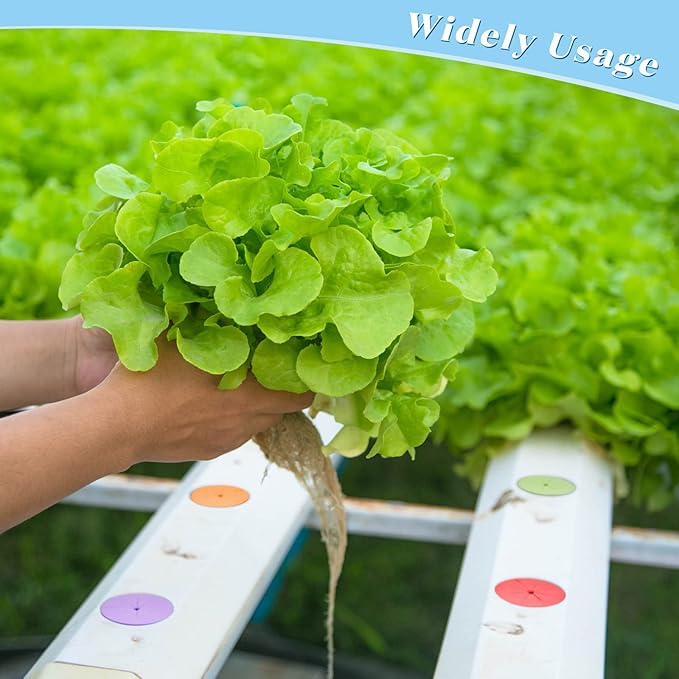 Lallisa 240 Pcs Clone Collars 2 Inch Foam Inserts for Hydroponic Cloning Machines Fits 2" Net Pots Reusable Collars for Hydroponics Plant Germination in DIY Cloner and Clone Machines (Multicolor)