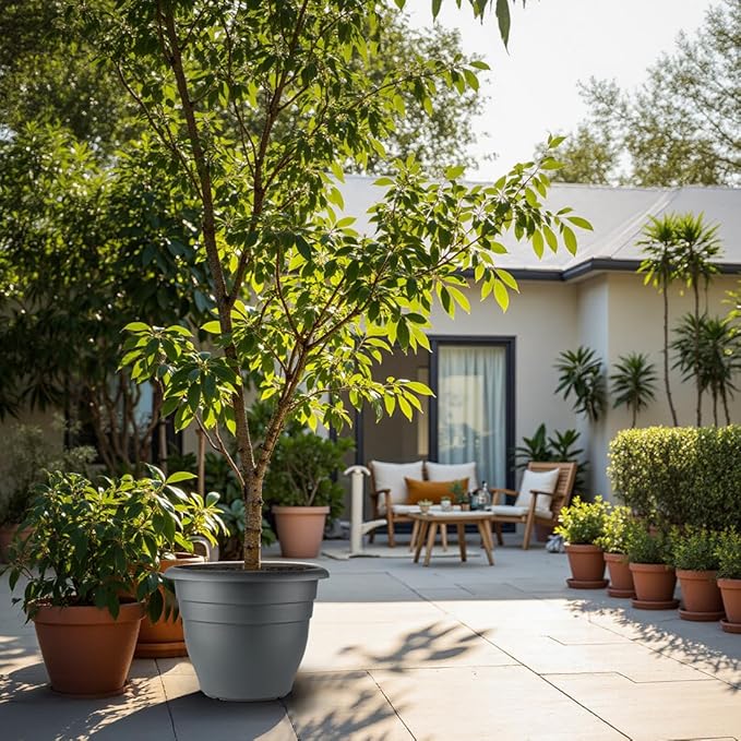 Large Plastic Pots for Plants, 16 Inch Planters for Outdoor Plants, Durable and Lightweight Flower Pots, Large Outdoor Planters(Pack of 3, Gray)