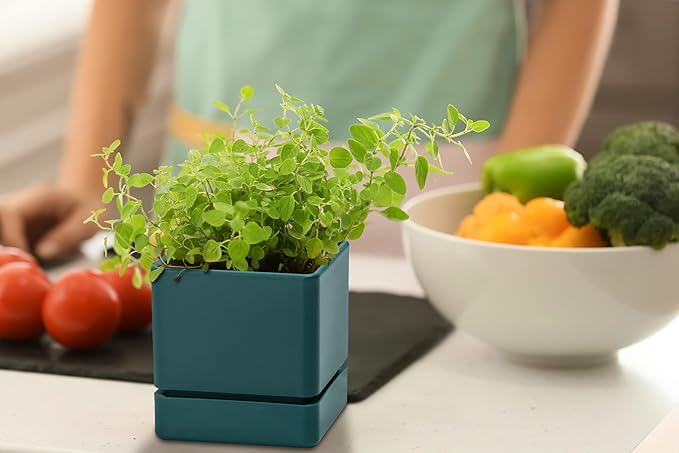 4 Inch Herb Planter Pot, Plastic Planter with Drainage Holes and Saucer, Modern Decorative Gardening Pot for Indoor Plants, Flowers, Herbs, Succulents, Green, Set of 4, 76-Y-C-4