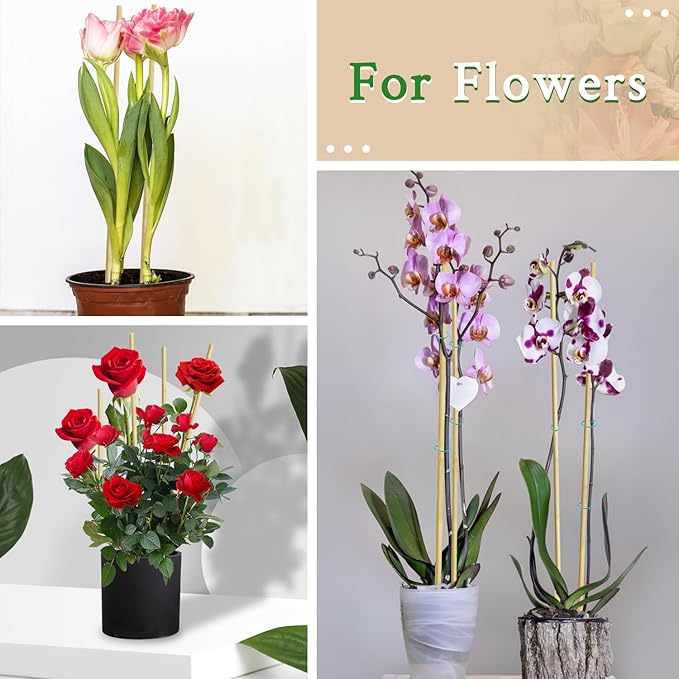 Bamboo Plant Stakes 17&12 Inch Orchid Sticks Supking Wood Plant Supports,30 Pcs Natural Bamboo Support Sticks for Plants/Floral/Potted Plant