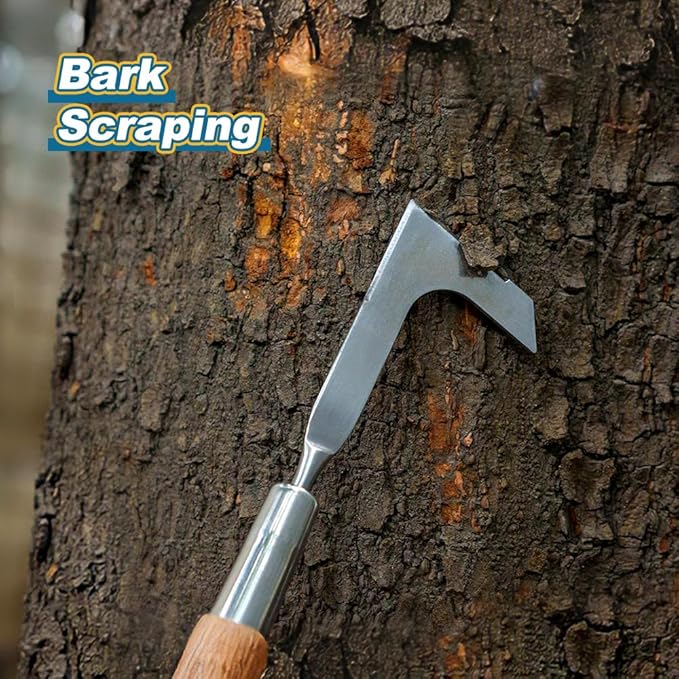 Berry&Bird 15.2'' Crack Weeder Crevice Weeding Tool with Ashwood Handle, Manual Weed Puller for Sidewalk, Driveway Cracks & Garden Edging, Weeding Sickle for Garden Patio Lawn Yard Terrace Paving Moss
