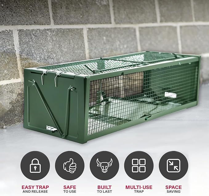 Heavy Duty Catch Release Small Live Humane Animal Cage Trap for Rat Mice Voles Weasels and Other Similar Sized Animals 18x5x5