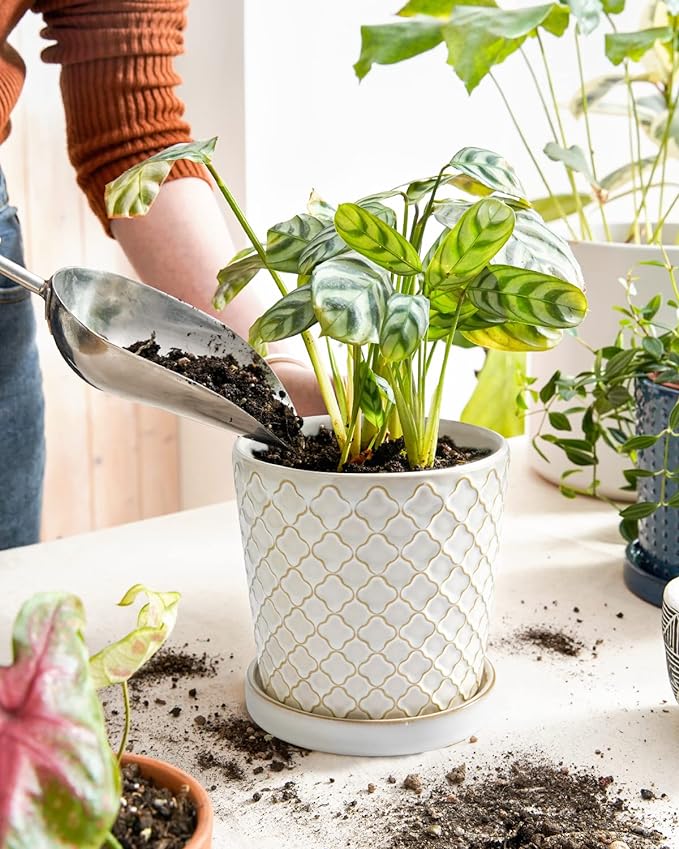 LE TAUCI Ceramic Pots for Plants, 5.4 Inch Plant Pots with Drainage Hole and Saucer, Indoor Plant Pots for Succulent, Snake Plants and Cactus, Flower Pots, Set of 2, Reactive Glaze White