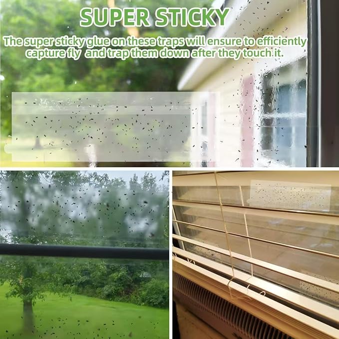 60 Pack Window Fly Traps, Clear Sticky Insect Catchers for Windows, Non-Toxic, Odorless, Waterproof Bug Trap for Fruit Flies, Gnats, House Flies & More – Indoor/Outdoor Insect Control Solution