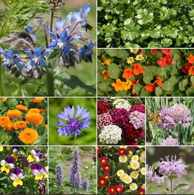 Ferry-Morse Edible Flower Mix Bulk Flower Seeds, 1lb