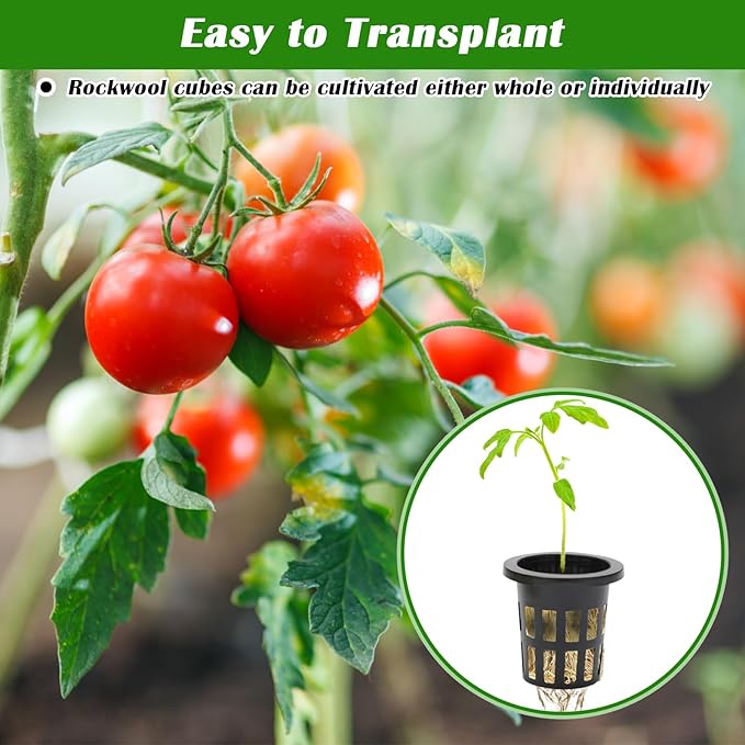 100 Pcs Rockwool Cube for Hydroponics with Net Pot, 50P 1Inch Rockwool Stonewool Plug & 50P 1.5Inch Net Cup for Seed Starter Soilless, Hydroponics, Plant Germination Start (Black)