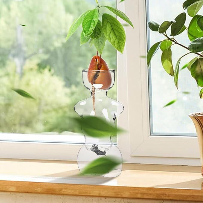 Propagation Vases for Plants Plant Propagation Jars Unique Body Avocado Vase Glass Planter Perfect for Seed Starting, Water Rooting and Home Decor Gift for Father
