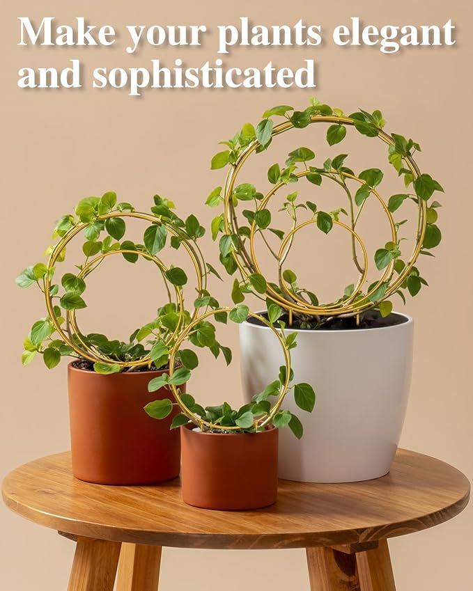 3 Pack Premium Round Plant Trellis Indoor, Small Metal Plant Support Stake for Climbing Plants, Different Sizes Gold Garden Trellis for Ivy and Flowers Outdoor