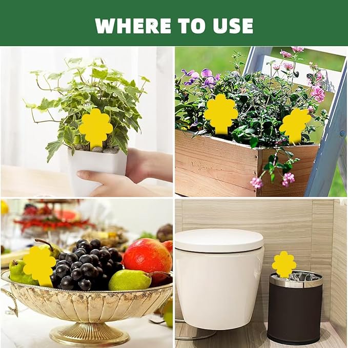 Flower-Shaped Yellow Sticky Traps, 36 Pack, Creative Sturdy Structure, No Touching Glue Or Bugs Design, Very Easy To Use, Gnat, Fruit Fly & Insect Killer, Kid & Pet Safe, For Plants, Gardens, Kitchens