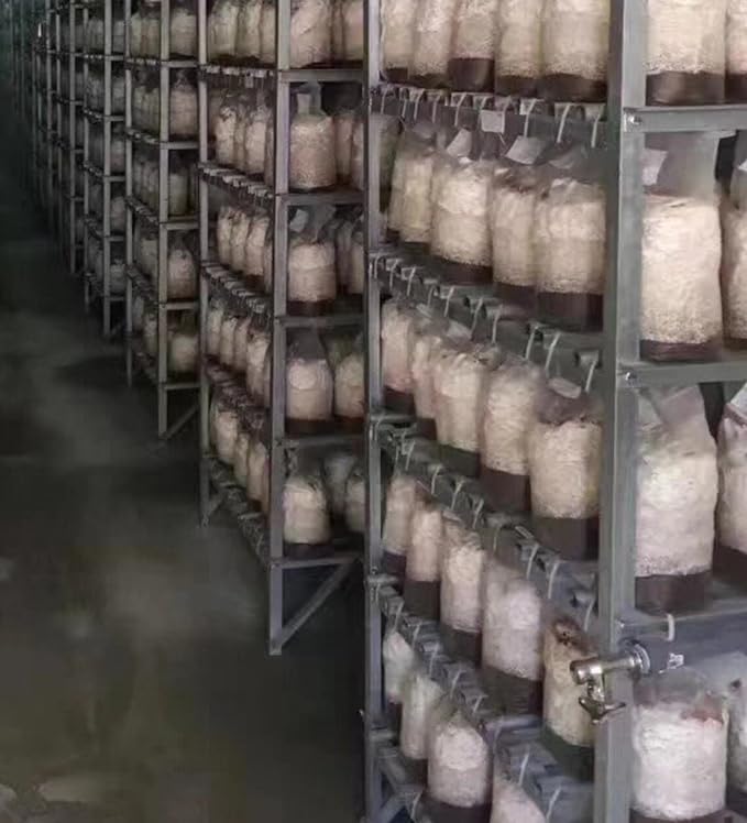 SUCOHANS Mushroom Grow Bags XLS Extra Large Size 10'' x 5.5'' x 24'' /Sealable Spawn/Myco Bags with 0.5 Micron Filter Designed for Mushroom Cultivation Growing (20)