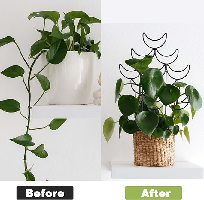 Indoor Plant Trellis 2 Pack Small Metal Climbing Plants Support for Outdoor Garden Potted Flowers Houseplant Ivy Vines Hoya