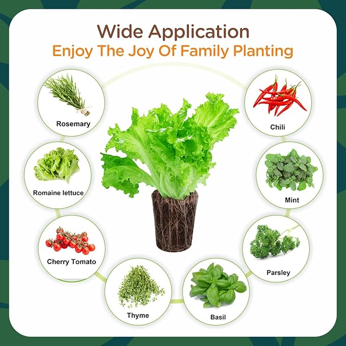 70 Pack Grow Sponges, Starter Plug for Seeds or Cuttings, General Hydroponics Rapid Rooter Plugs for Seedling Herbs Lettuce Vegetable Flower, Great for Soil or Hydroponics Growing System (Cylinder)