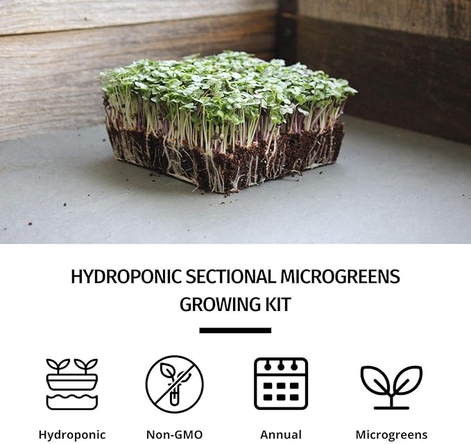 Hydroponic Sectional Microgreens Growing Kit - Grow Micro Greens & Herbs Indoor Gardening: All Supplies - Seeds, Trays, Instructions, Etc.