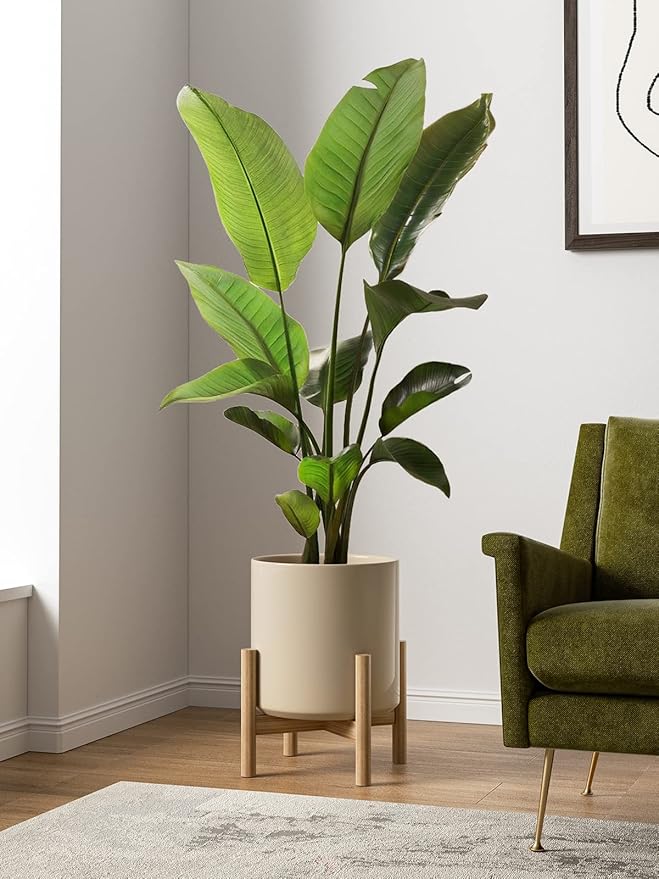 LE TAUCI 12 Inch Pots for Plants, Ceramic Large Plant Pot for Indoor Plants, Mid-Century Modern Flower Planter Pots with Drainage Hole and Removable Plug, Round Planter Pot, Reactive Glaze Cloud Cream