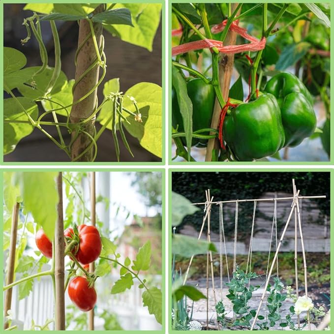 Bamboo Plant Stakes – 25pcs 4FT Natural Bamboo Garden Stakes for Tomatoes, Peppers, Beans, Indoor & Outdoor Plants, Sturdy Plant Support for Seedlings & Potted Plants