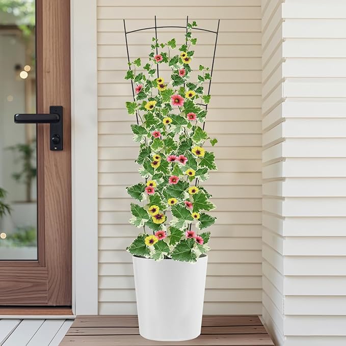 4 Pack 32'' Plant Trellis Indoor - Metal Trellis for Climbing Plants Indoor, Garden Trellis for Climbing Plants Outdoor Houseplants Flowers Vine Ivy, Fan Shape, Black