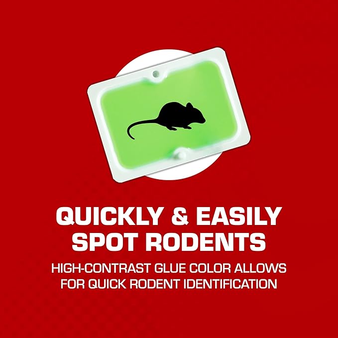 Tomcat Super Hold Glue Traps Mouse Size for Mice, Cockroaches, Spiders, and Scorpions, Ready-To-Use, 4 Traps (2-Pack)