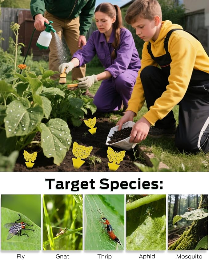 Yellow Sticky Traps for Plant Gnats, Plant Fly Sticky Trap Sticks for Indoor/Outdoor, 100PCS, Non-Toxic, Odorless, Harmless to Vegetables, Fruits, Plants
