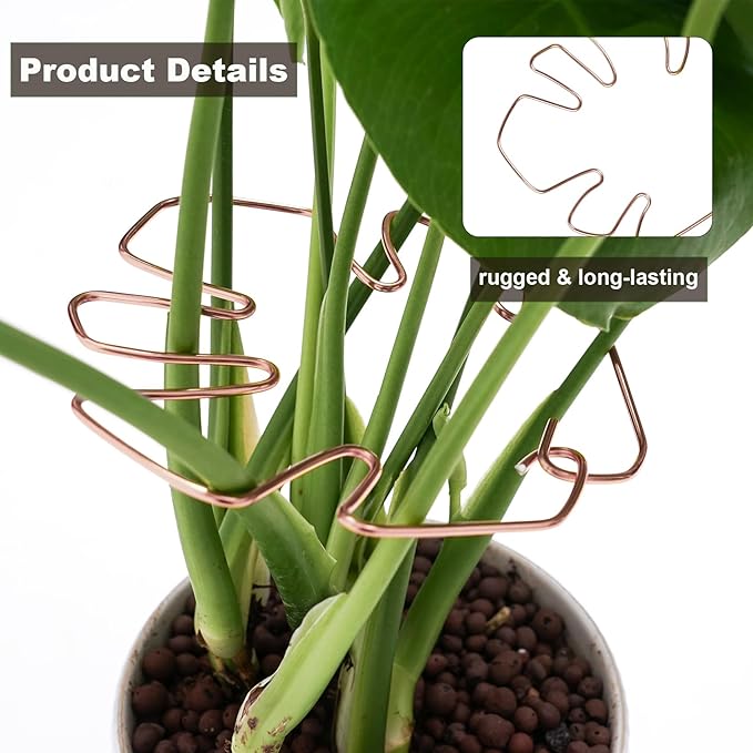 6PCS Monstera Plant Stem Support, Monstera Stabilizer Grapple Holder Unique Design for Turtle Shell Bamboo Clamp Set, Ideal Plant Support Stakes for Thriving Growth Indoor Climbing Plant (Copper)