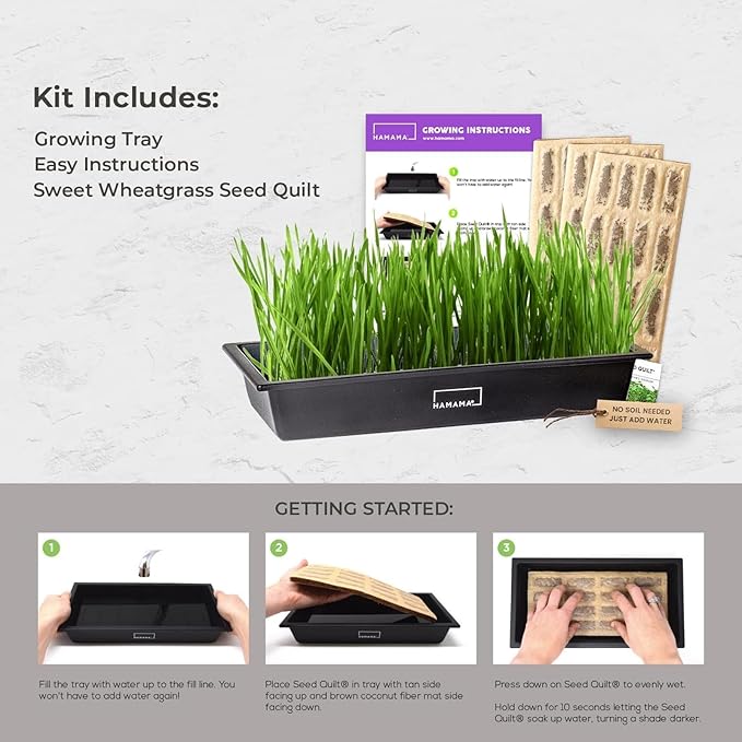 HAMAMA Microgreens Growing Kit Wheatgrass - Indoor Sprouts Mat - Seed Quilts Easy Setup Pack of 3 - Plastic Tray
