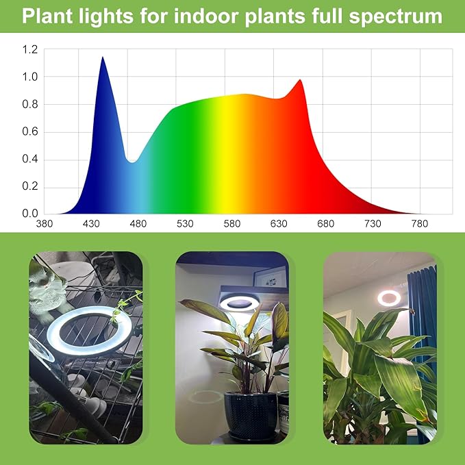 Full Spectrum Grow Light for Indoor Plants, 72 LEDs Halo Plant Light with Auto On/Off Timer (4/8/12H), 10-Level Brightness, 3 Lighting Modes, for Small Plants & Seedlings (Black, One Head)