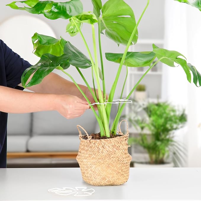 6PCS Iron Monstera Plant Support, Uniquely Designed Indoor Plant Accessories, Stable Plant Support Stakes for Indoor Plant, Turtle Shell Bamboo Clamp Set for Thriving Growth