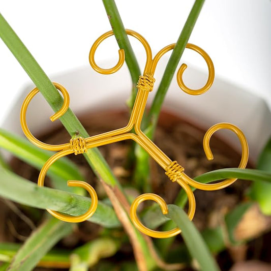 Monstera Plant Support 6-Pack - Durable Iron Clamps with Turtle Shell Design, Plant Supports for Indoor Plants & Climbing Vines, Healthy Growth & Leaf Stabilization