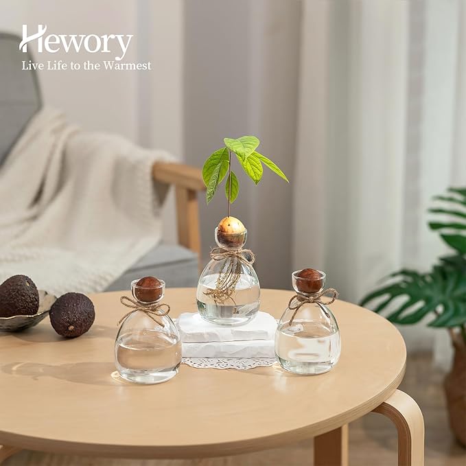 Hewory Avocado Seed Starter Vase: 3 Pcs Glass Avocado Tree Growing Kit Pot for Indoor Plant - Rustic Acorn Vases for Plant Gardening Lovers