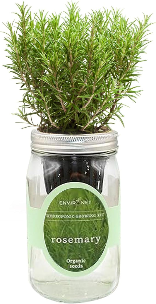 Hydroponic Herb Growing Kit, Self-Watering Mason Jar Herb Garden Starter Kit Indoor, Windowsill Herbs Garden, Grow Your Own Herbs from Organic Seeds (Rosemary)