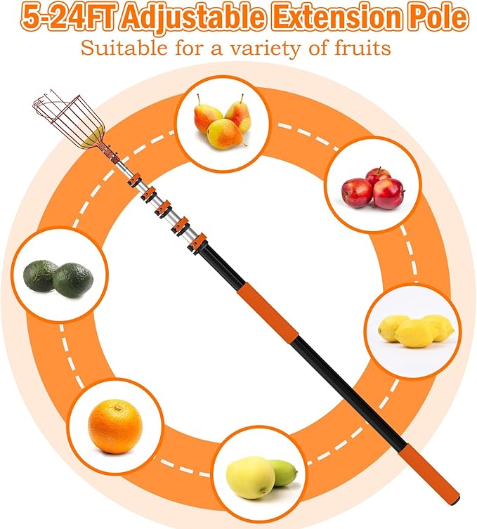 SISIUPASSIE 30FT Reach Fruit Picker, Apple Picker Pole with Basket Telescoping Tool for Apple Lemon Orange Mango Avocado Fruit Tree Picking