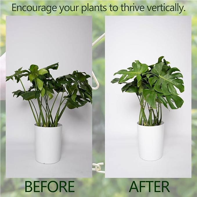 Monstera Plant Support Stem Stabilizer 9 * 7.6 inches- Durable Leaf Holder & Adjustable Stake for Fishbone Cactus, Easy to Install Garden Tool for Optimal Growth in Indoor Plants