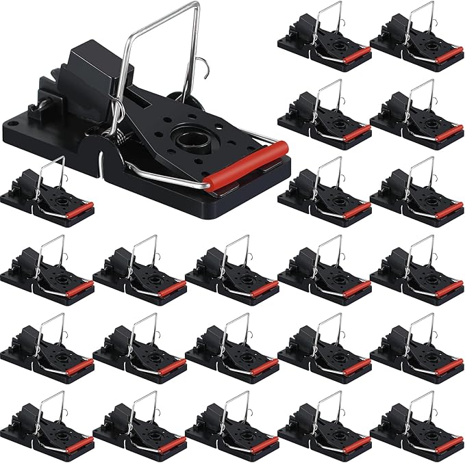 Qualirey 24 Pcs Plastic Mouse Rat Traps House Indoor Quick Effective Safe for Warehouse Garden Kitchen 3.86 x 1.81 x 2.17 Inch (Black,Red)