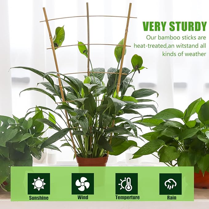 Bamboo Garden Trellis - 24 Inches Tall, 3 Pack - Perfect for Climbing Plants, Vegetables, and Pots - Enhance Your Garden with Natural Bamboo ，2Ft Plant Trellis Indoor