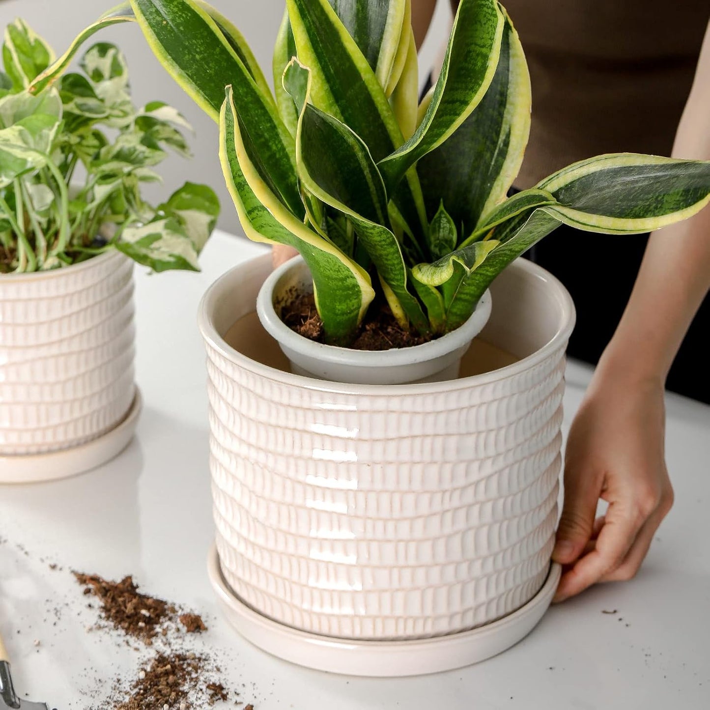 8 Inch Plant Pot: Ceramic Planter with Drainage Hole & Saucer for Indoor Outdoor Plants - Flowerpot with Bonded Tray for Home Office - Wave Embossed