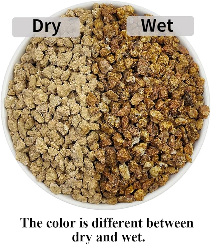 Succulent and Cactus Maifanitum Stones Garden Accessorie Rocks Pumice for Indoor Plants, Bonsai, Fairy Gardening, Vases Fillers, Terrarium, 10lb