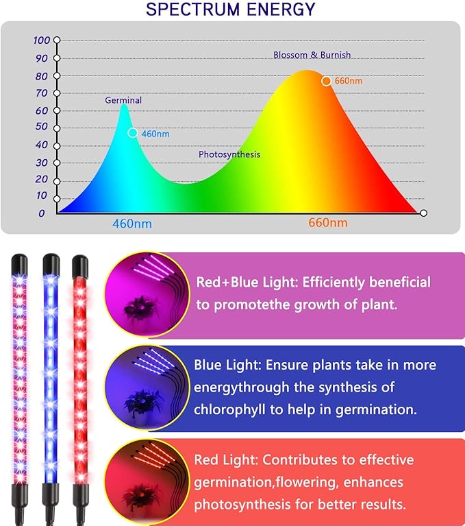 Plant Grow Light Indoor,4 Head LED Growing Lamp for Indoor Plants, 80W Full Spectrum Plant Lights with Auto ON/Off Timer, 10 Dimmable Brightness,360° Flexible Gooseneck, 3 Switch Modes
