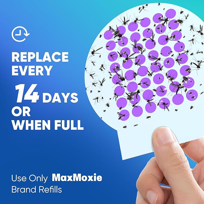 Flying Trap Refills, 10-Pack Extra-Large Sticky Glue Boards for Indoor Bug Insect Trap, Mosquito & Fruit Fly Pest Catcher Replacement Pads