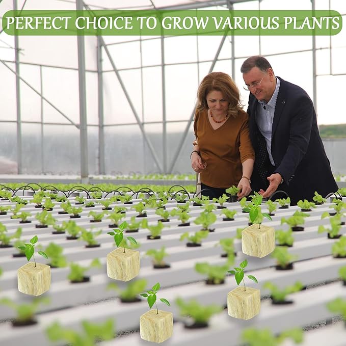 Legigo 1.5 Inch Rockwool Cubes for Hydroponics Seed Starter, Rock Wool Planting Cubes Hydroponic Garden Grow Plugs for Soilless Cultivation Plants Cutting Germination Clone(4 Sheet, 196 Plugs)