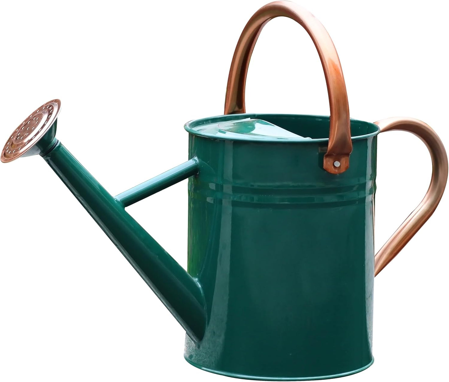 Metal Watering Can for Outdoor and Indoor Plants, Watering Can Decor, 1 Gallon (NewGreen)