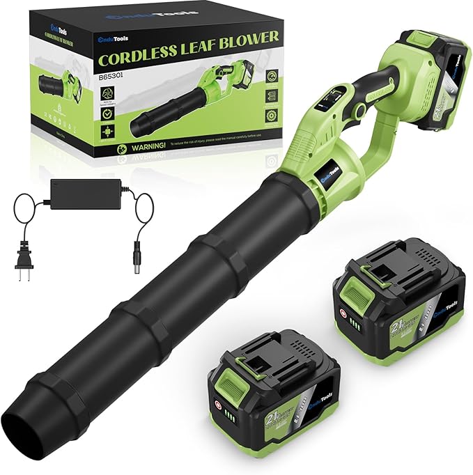 Cordless Leaf Blower - 650 CFM Brushless Electric Leaf Blower with 2 x 6.0Ah Batteries & Fast Charger, 2 Speed Modes, Battery Powered Leaf Blowers for Lawn Care, Patio, Dust, Snow Care (Light Green)