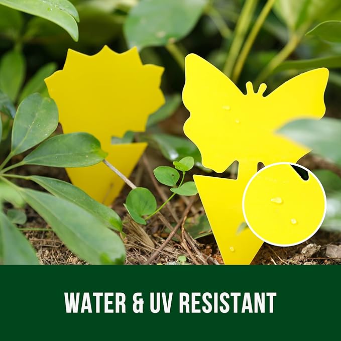 Garsum 36 Pack Fruit Fly Trap Yellow Sticky Fungus Gnat Killer for Indoor and Outdoor Plant Insect Catcher for White Flies,Mosquitos,Fungus Gnats,Flying Insects