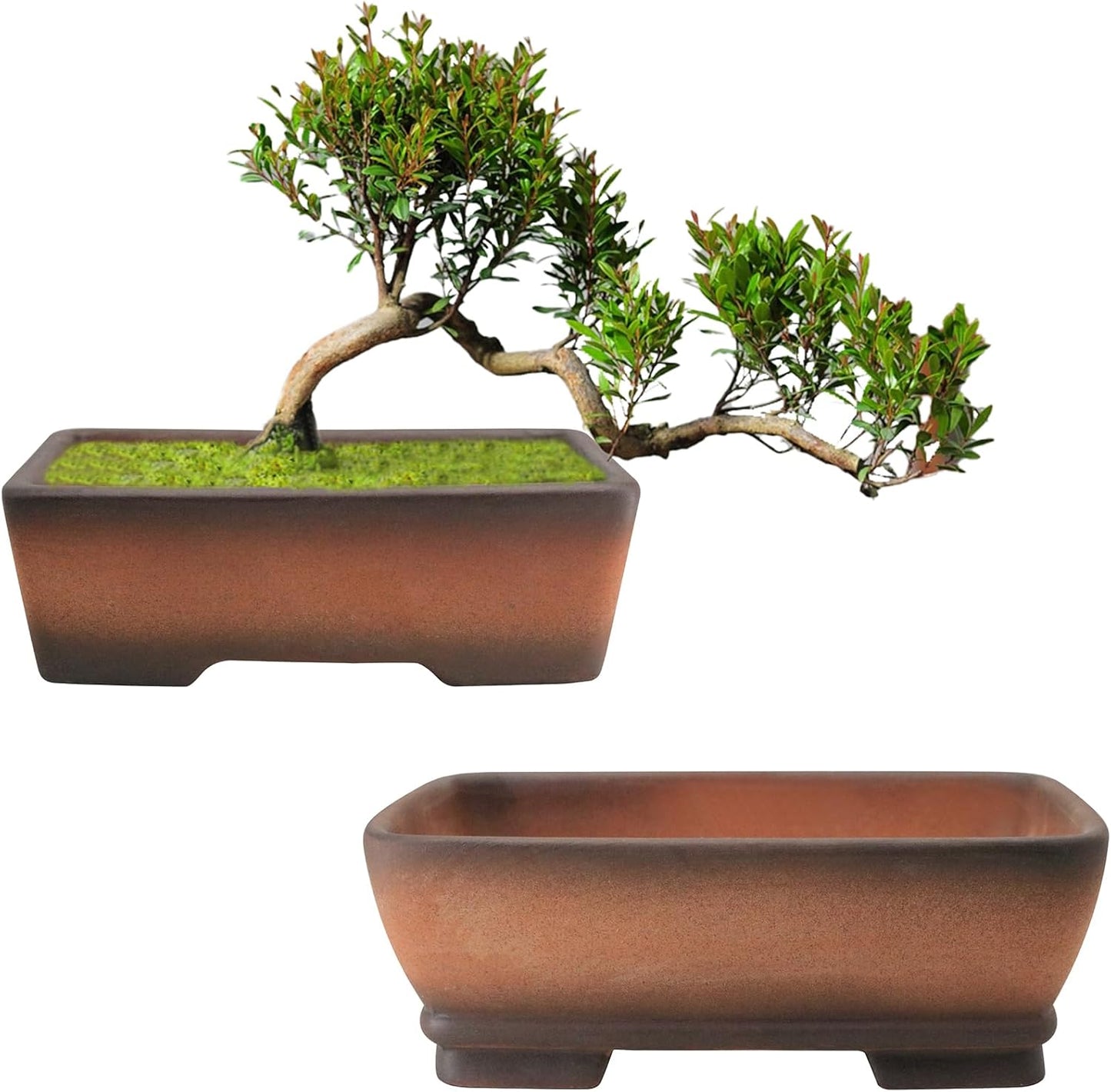MUZHI 2 Pack Handmade Color Gradational Terracotta Bonsai Pot 5 Inch and 6 Inch with Drip Tray, Breathable Unglazed Rectangle Ceramic Planter for Tree Succulent Cactus